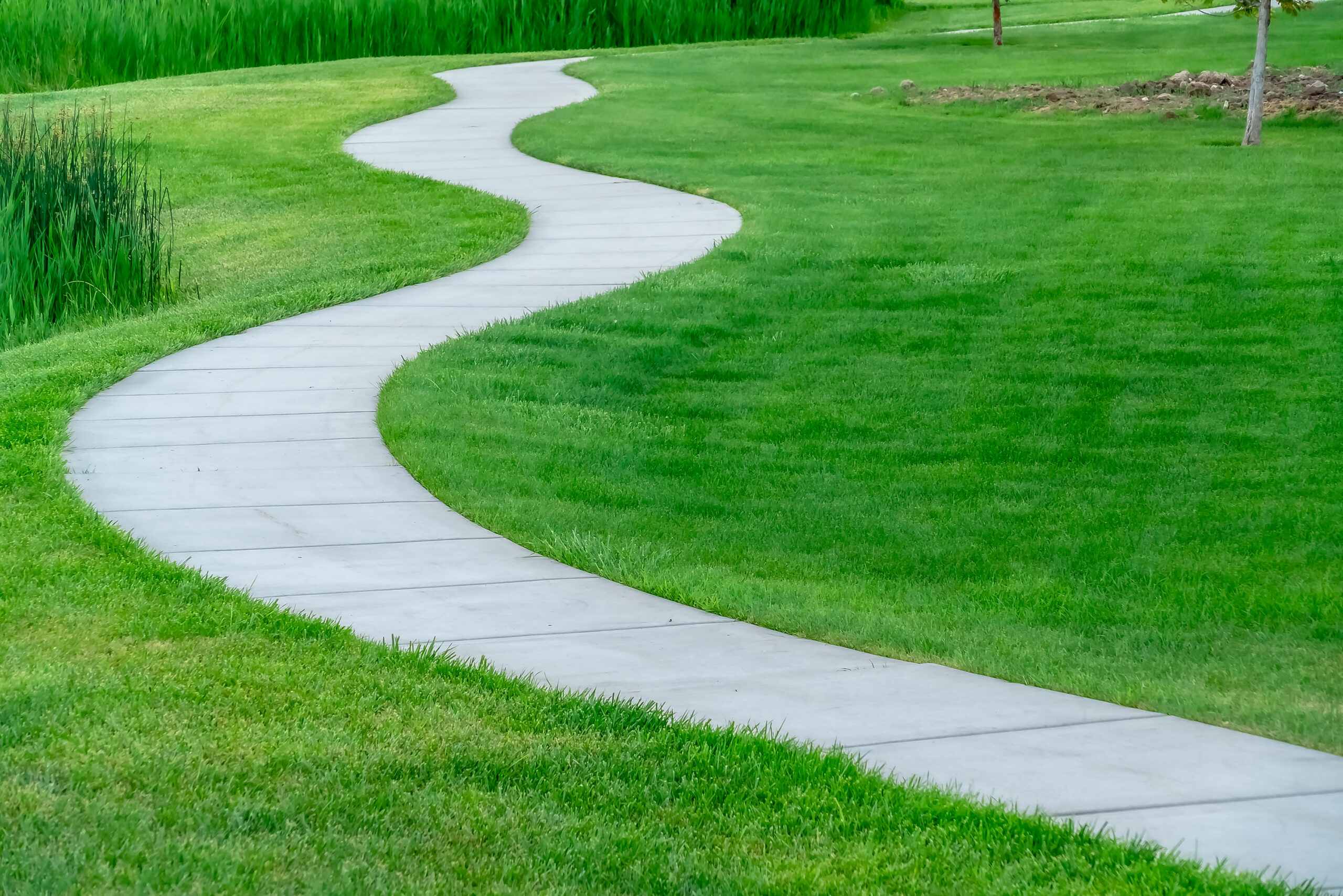 Walking Trail