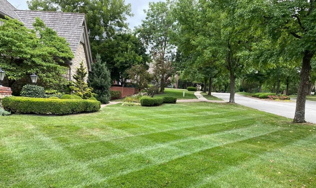 Lawn Care Tips & Tricks for Kansas City Homeowners: A Seasonal Guide