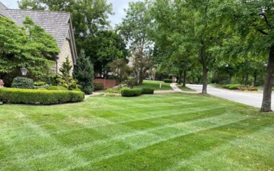 Lawn Care Tips & Tricks for Kansas City Homeowners: A Seasonal Guide