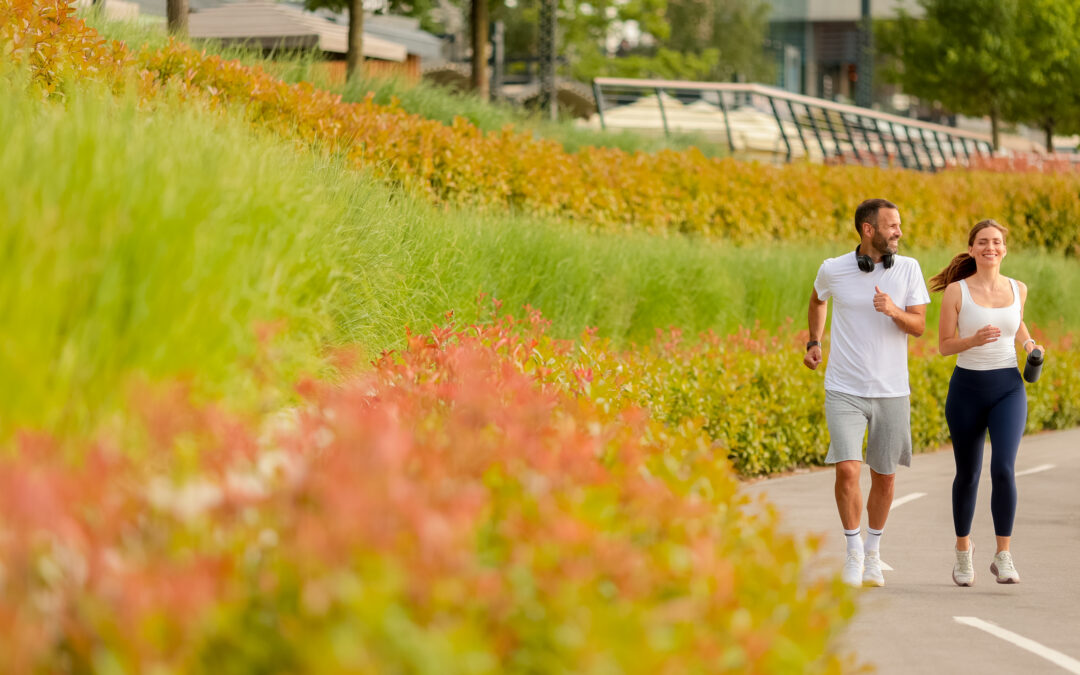 Family Things to Do in Spring Hill, Kansas: Parks, Fox Hollow Sports Complex & Community Life